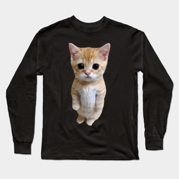 funny meh cat Long Sleeve T-Shirt by ezzobair